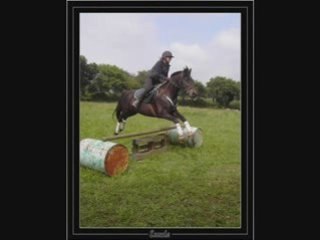 Une petite penser pour emule