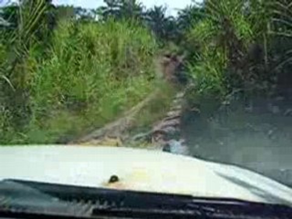 10/11/2004 - bout de piste près de Yomata (Guinée)