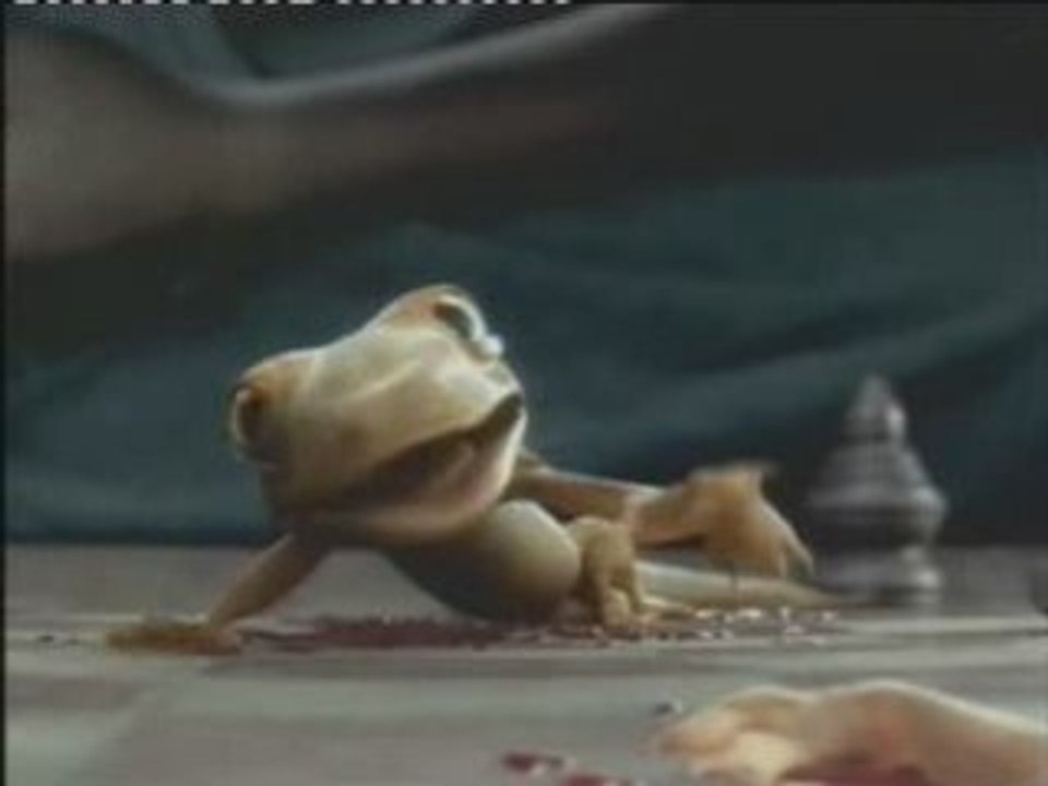 Une histoire d'amour en pub