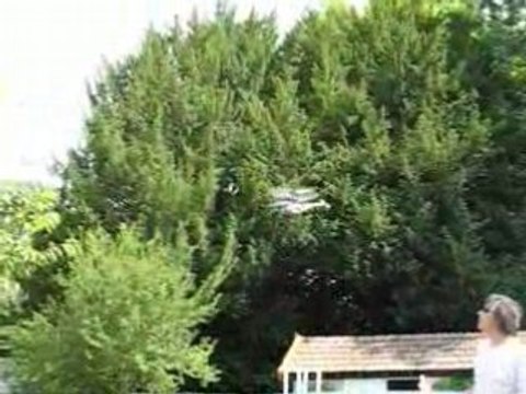 Vol 1 en Lama v3 XTreme