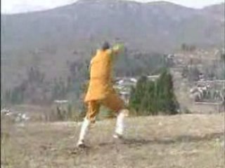 Shaolin Mizong Quan Er Lu - Performed By Shi De Yang