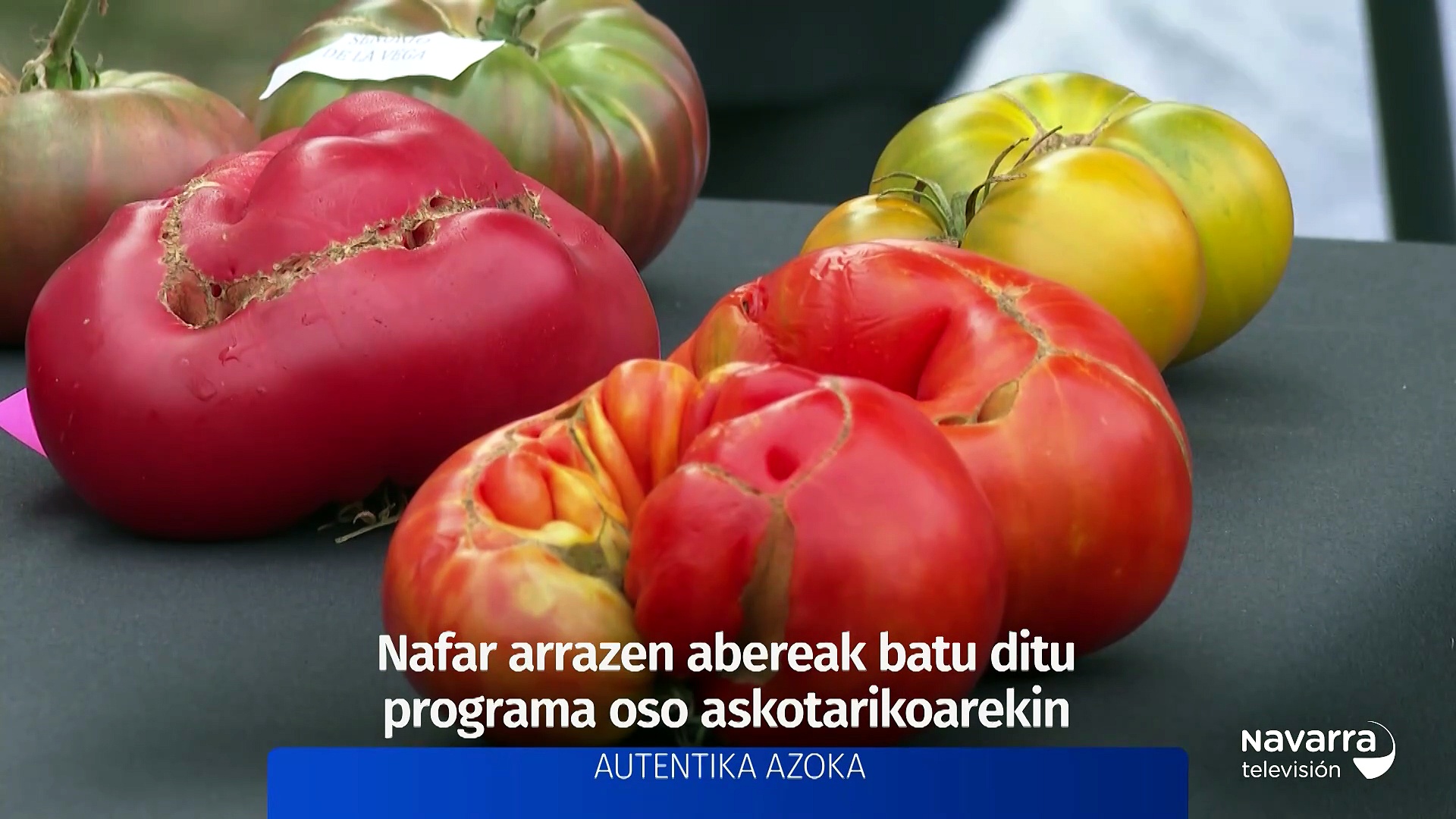 Berriak 2026/09/06