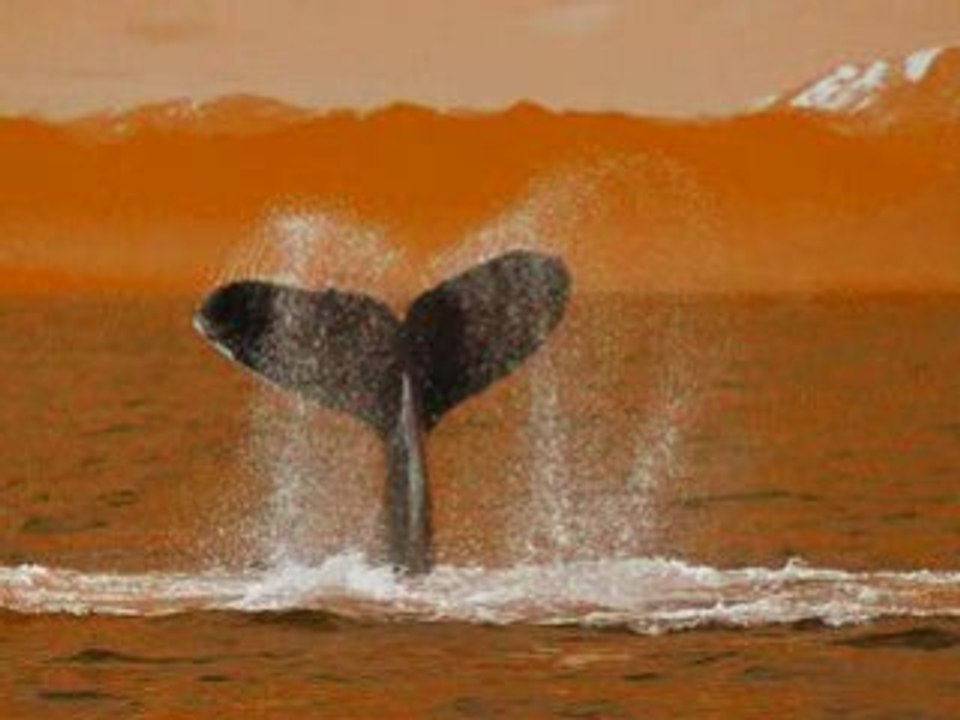 Cool-images_0001