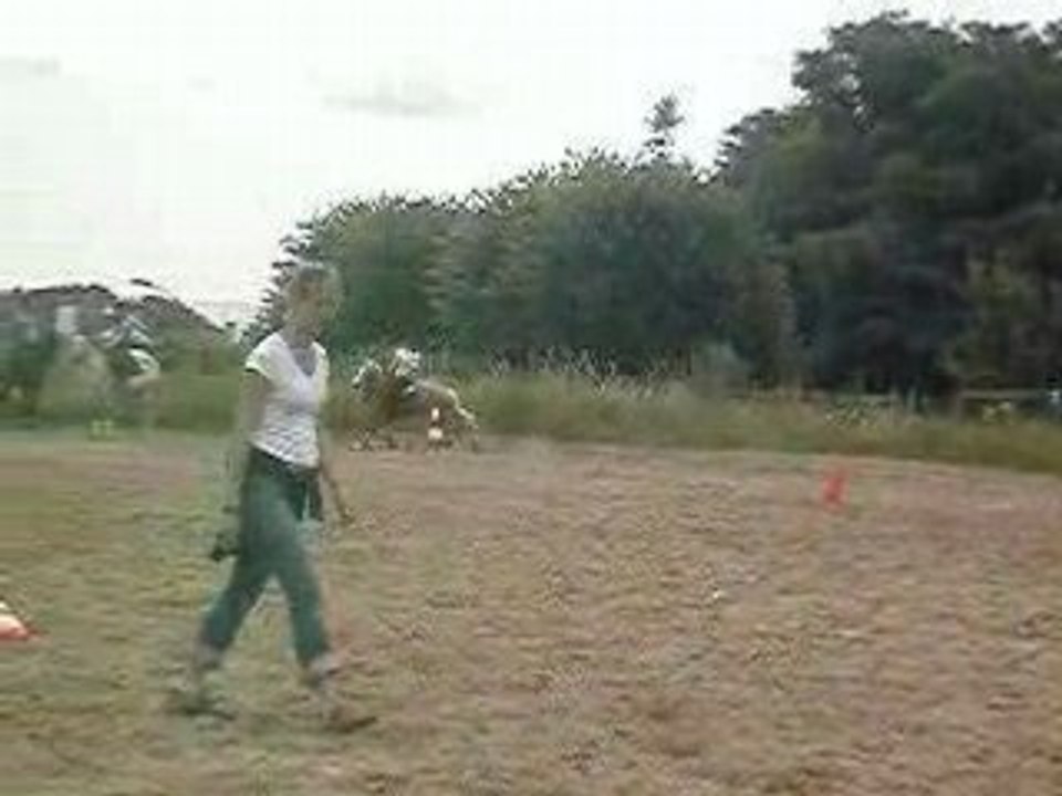 Pony-Games Petit Saut 03