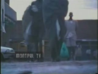 Malakoff projet famine