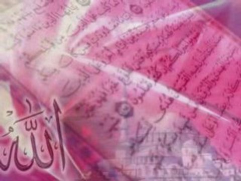 TOUCHE PAS A MON VOILE