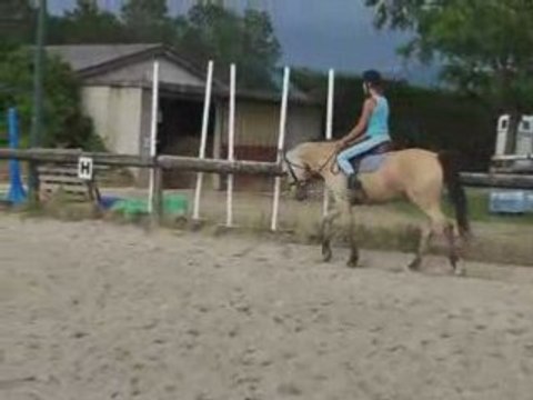 Reprise de dressage CCE 2° série