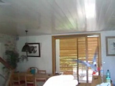 Indie Gris du Gabon rappel