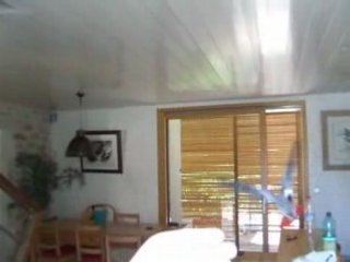 Indie Gris du Gabon rappel