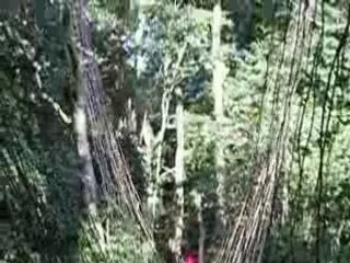 10/10/2004 - Lou sur le pont de lianes de Konipara (Guinée)