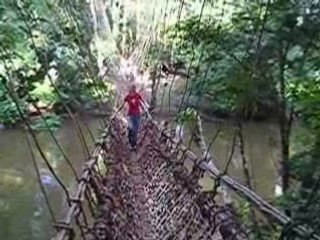 10/10/2004 - Val sur le pont de lianes de Konipara (Guinée)