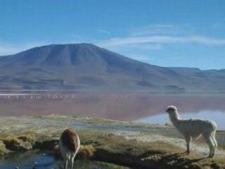 Video bolivie