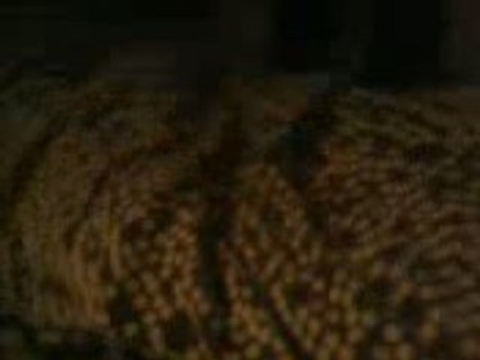 KeKette & Kekette? PFIIOU CHERCHE POW INSEPARABLE