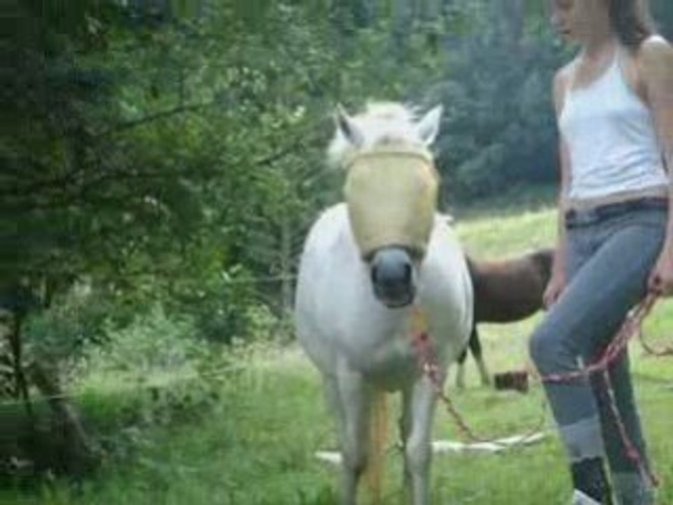 Nalha mini parcours
