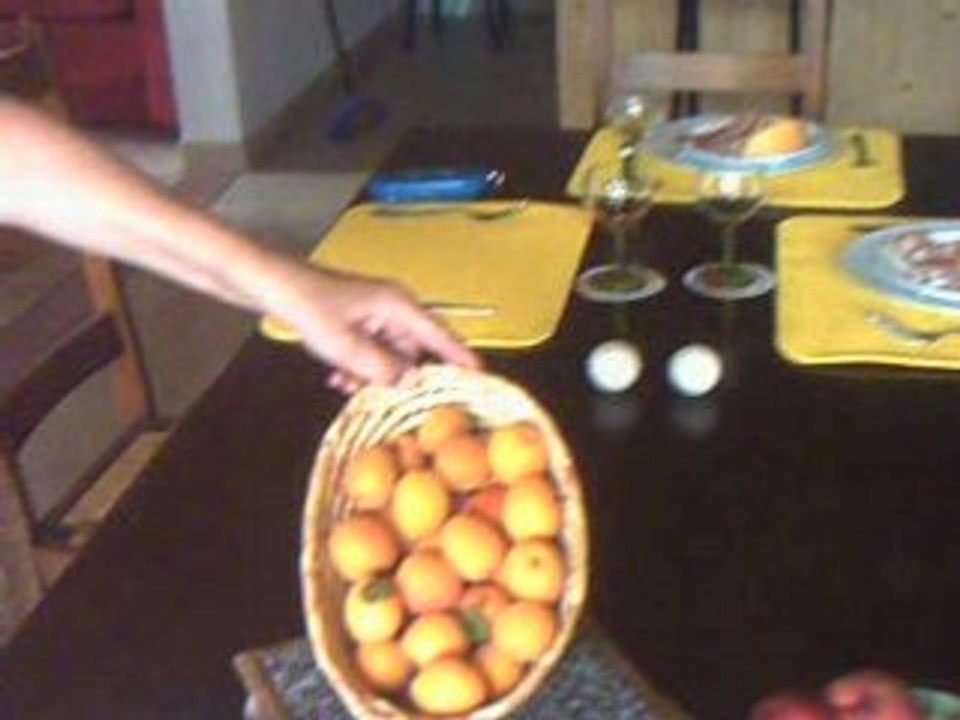 Repas chez Jean-Claude 27 juillet 2008