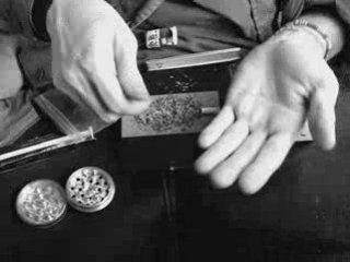 Végétal 2 Boeuf V - Amsterdam De Boeuf