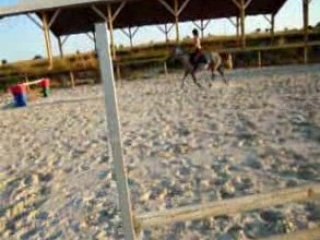 Pashmonté 1er galop