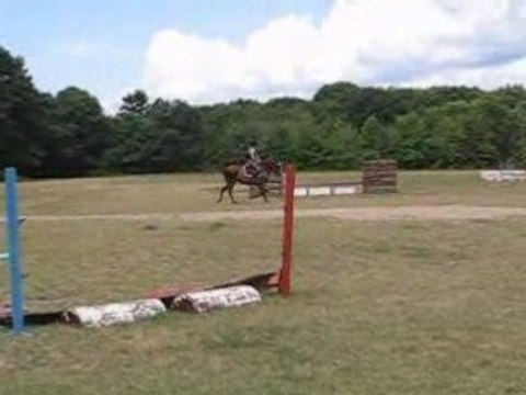 Nouba Galop à droite été 2008