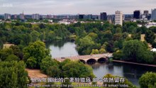 Wild London 狂野伦敦