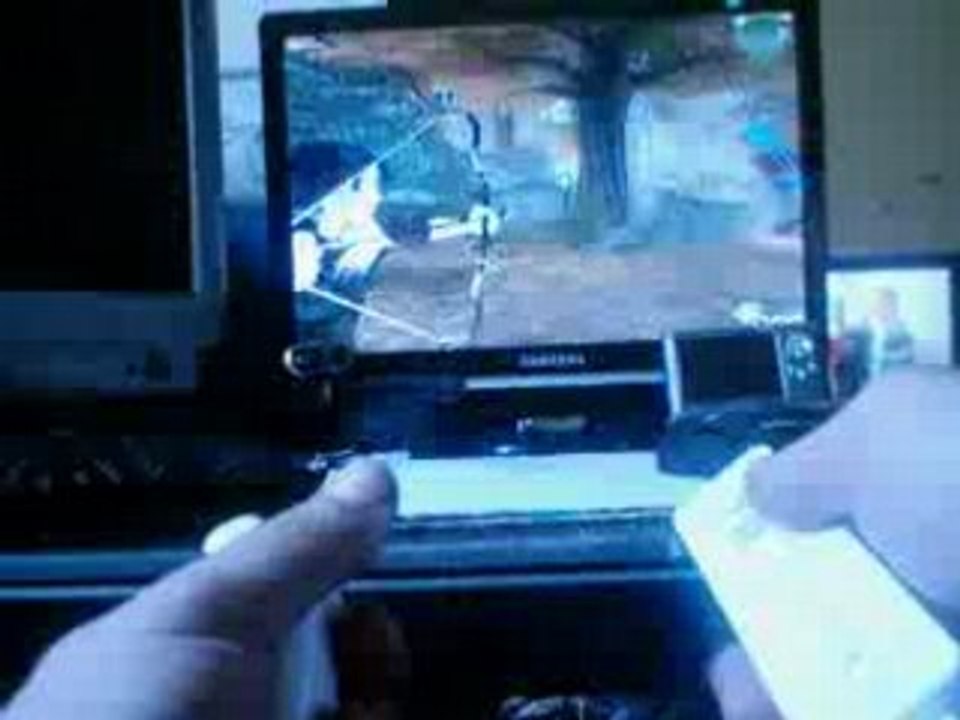 Fable pc wiimote 27.07.08