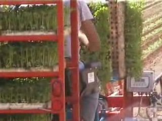 trapiantatrice omia con cambio elettronico tel 0883331038