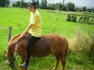 26 juillet 2OO8 (91)