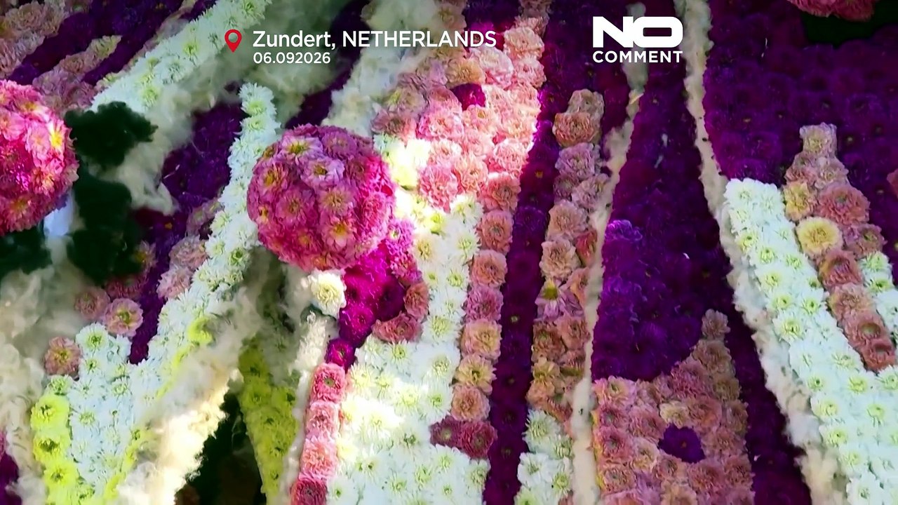 400.000 dahlien und riesenwagen: niederlande zeigt spektakulären blumenkorso