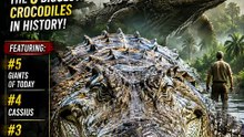 TOP 5 Monster Crocodiles Ever Recorded | The Biggest Crocodiles in History