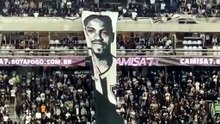 Botafogo-Palmeiras