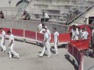 course camarguaise du 27/07/2008