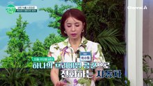 [차차차]상위 1%만을 위해 탄생한 최상위 럭셔리 카의 압도적 실물