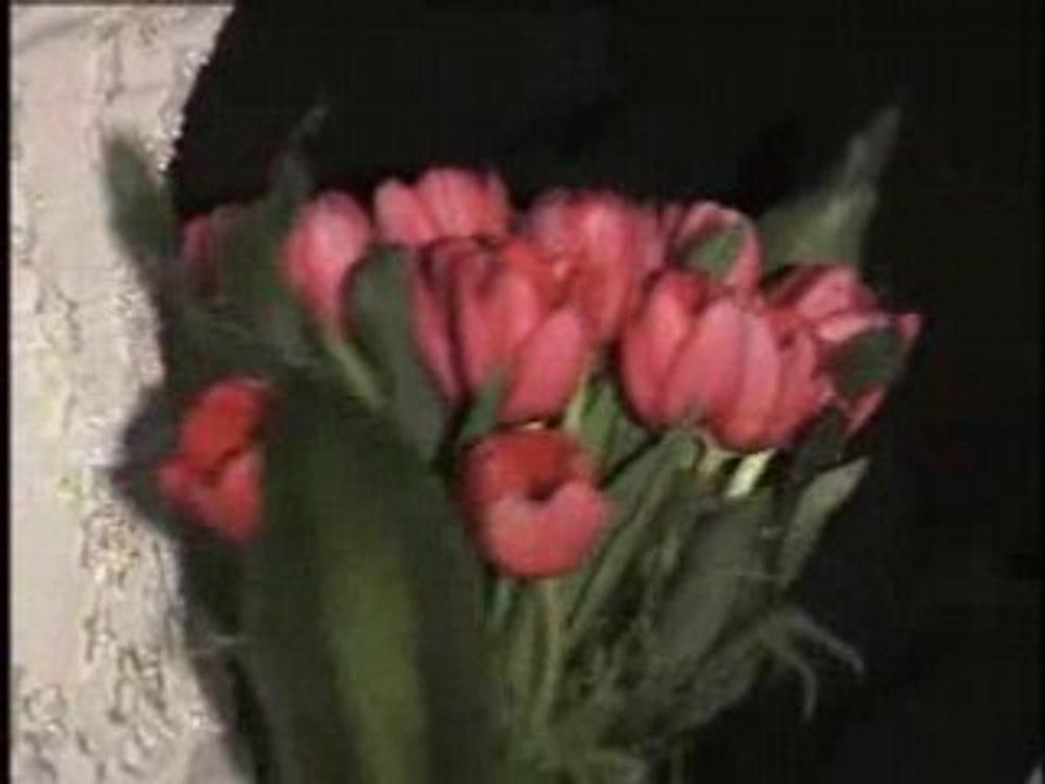 boda_cristhy_paco_video_oficial_02/14