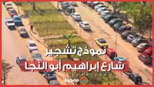 بعد توجيه تعميمه في القاهرة.. نموذج تشجير شارع إبراهيم أبو النجا