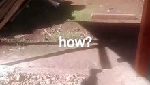 how_