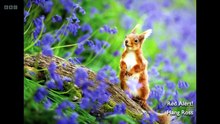 Countryfile S38E36