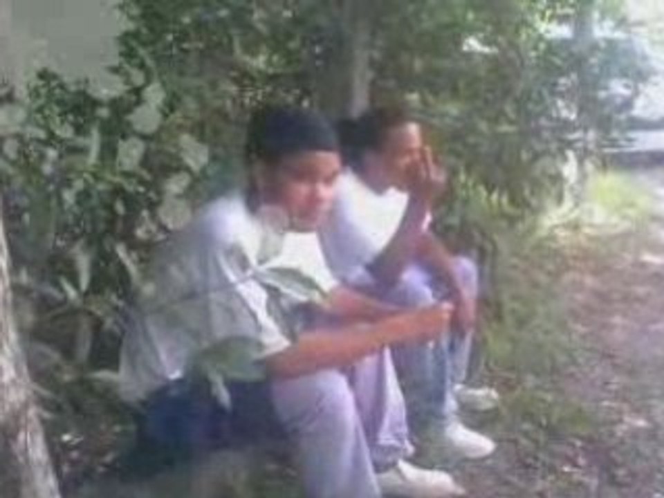 Wanted live drogma djghost liwicsy nos baron wantedfamily