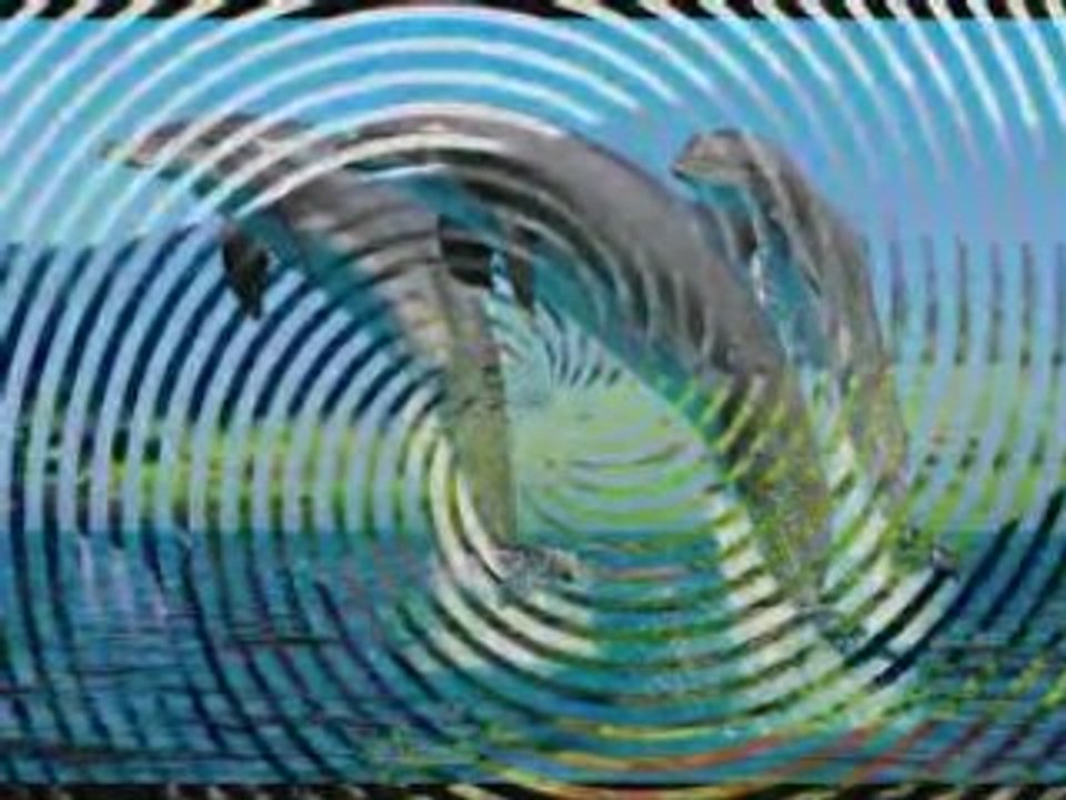 Les vacances et Justforplay