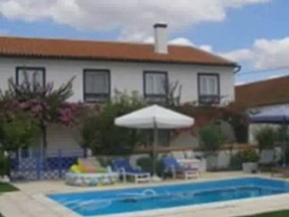 How Pool Cleaners Climb Walls