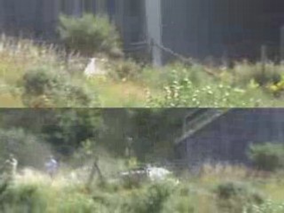 Eifel Rallye Daun 2008