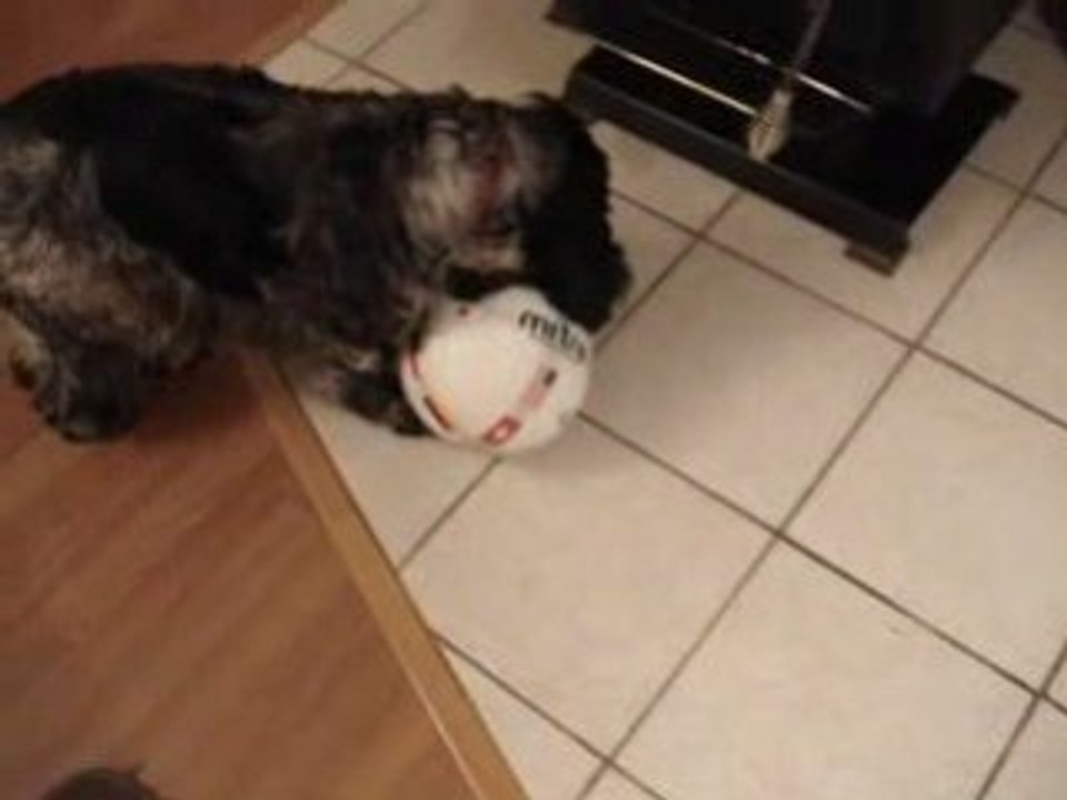Gimli ballon