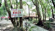 【粵語】至尊三十六計之偷天換日 (1993)  Perfect Exchange (劉德華 梁家輝 鐘麗緹 陳百祥 何家駒 黃光亮 李婉華)