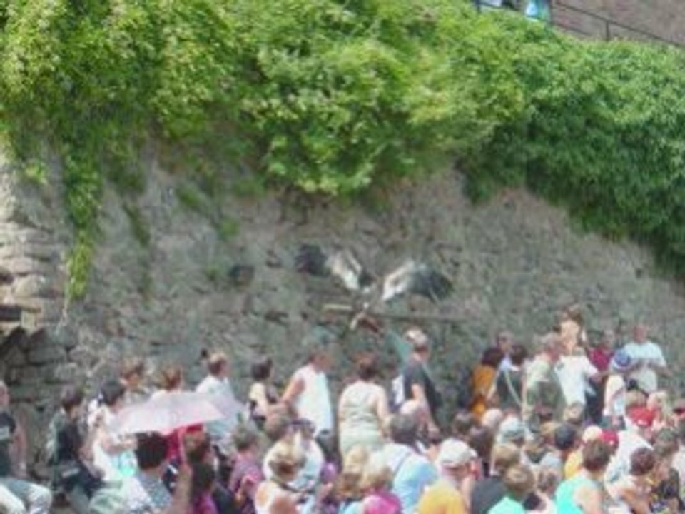 LA VOLERIE DES AIGLES