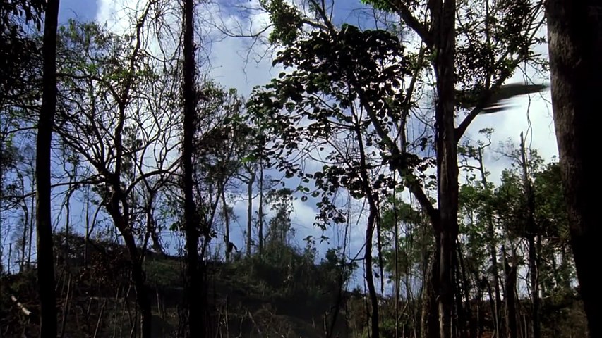 Tráiler de La Colina de la Hamburguesa (Hamburger Hill - 1987)
