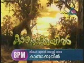 Alphonsamma 2008-07-27 02.mp4
