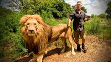 Kevin Richardson Returns: Lion, Leopard and Hyena Reunion at the Sanctuary