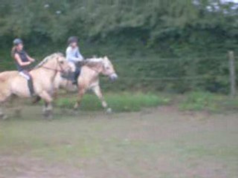 les fille a cheval