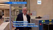 В Орлеане судят миллиардера Оливье Буига за незаконную охоту на редких птиц