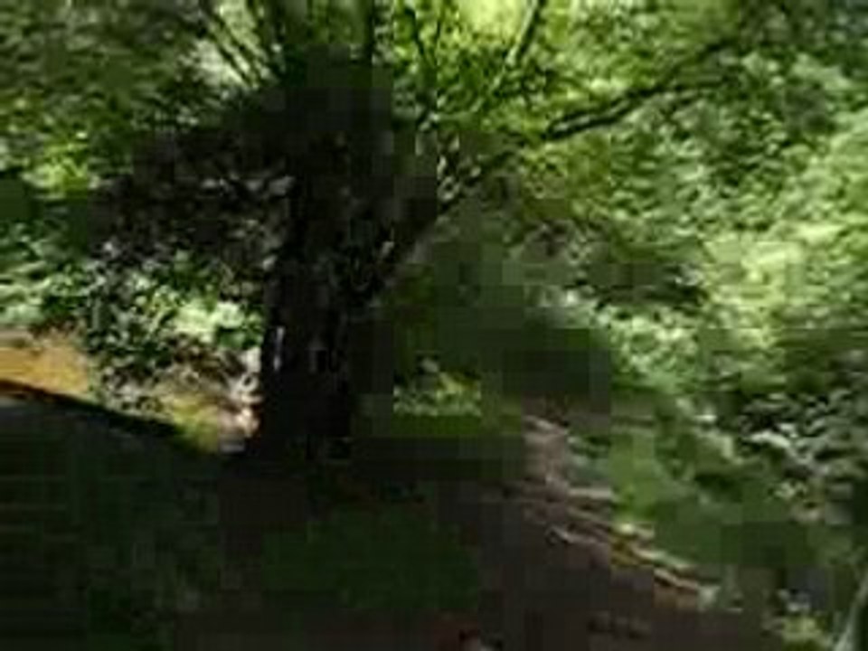 Descente de vtt