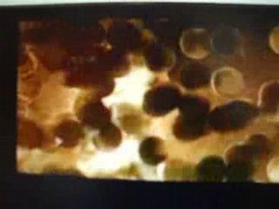 explication aventures fort boyard 2008