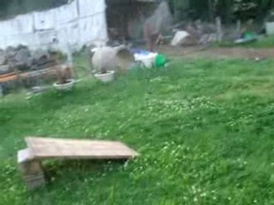 tremplin de fou